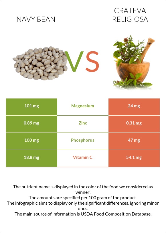 Navy beans vs Crateva religiosa infographic