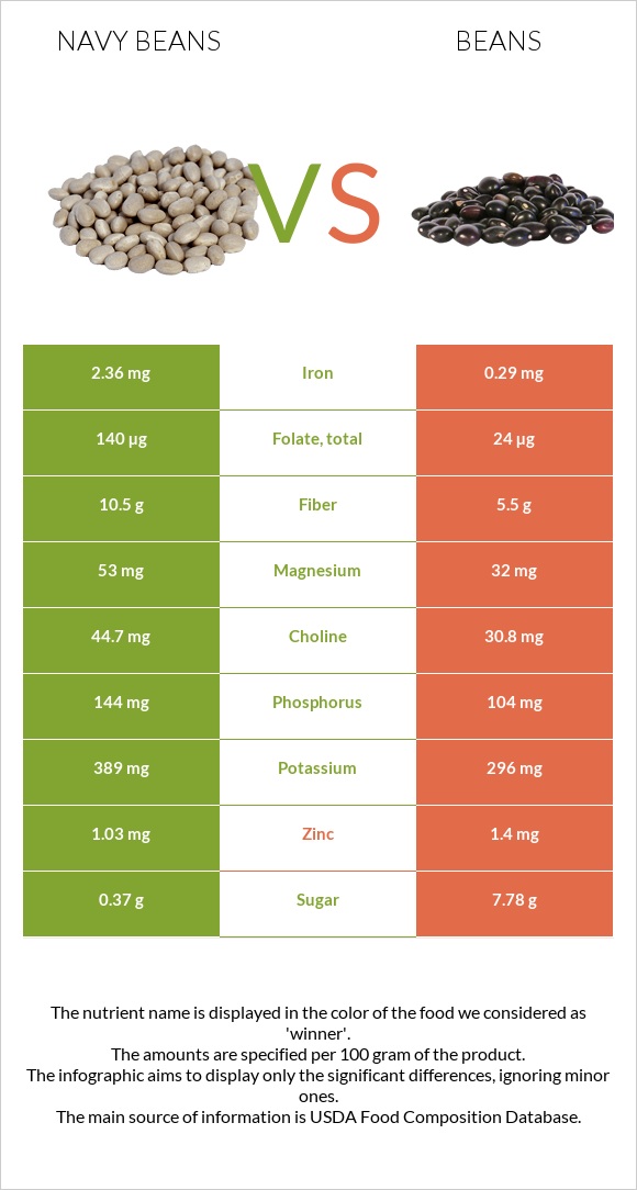 Navy beans vs Beans infographic