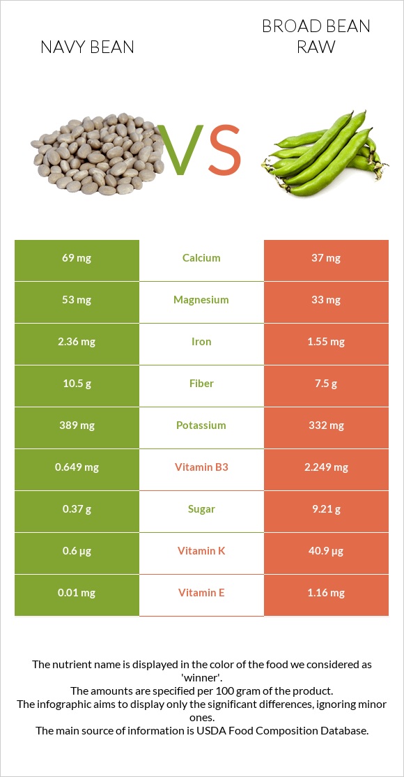 Navy beans vs Broad bean raw infographic