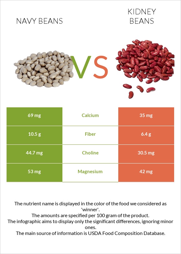 Navy beans vs Kidney beans infographic