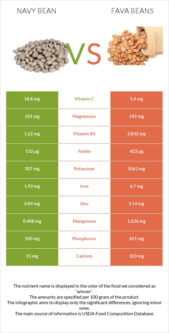 Լոբի սպիտակ նևի vs Fava beans infographic