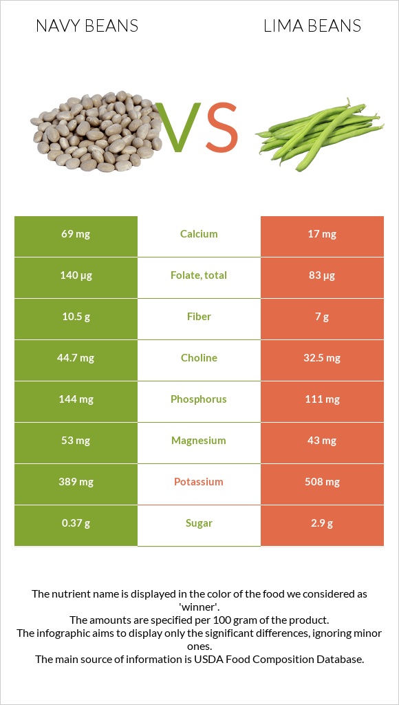 Navy beans vs Lima bean infographic