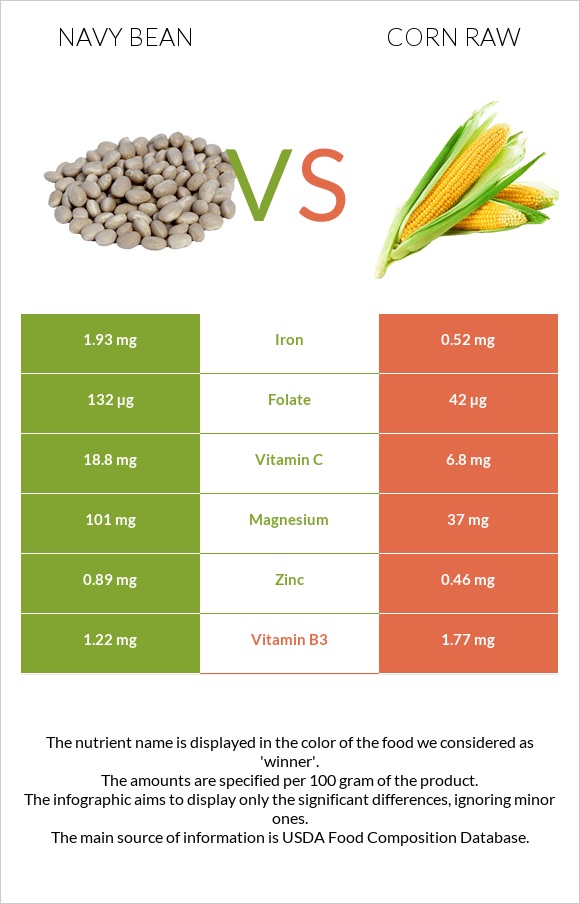 Navy bean vs Corn raw infographic