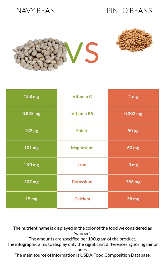Navy beans vs Pinto beans infographic