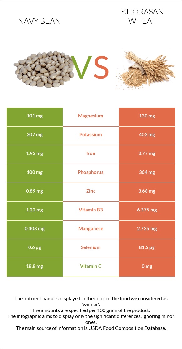 Navy bean vs Khorasan wheat infographic