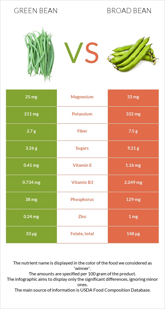 Green bean vs Broad bean infographic