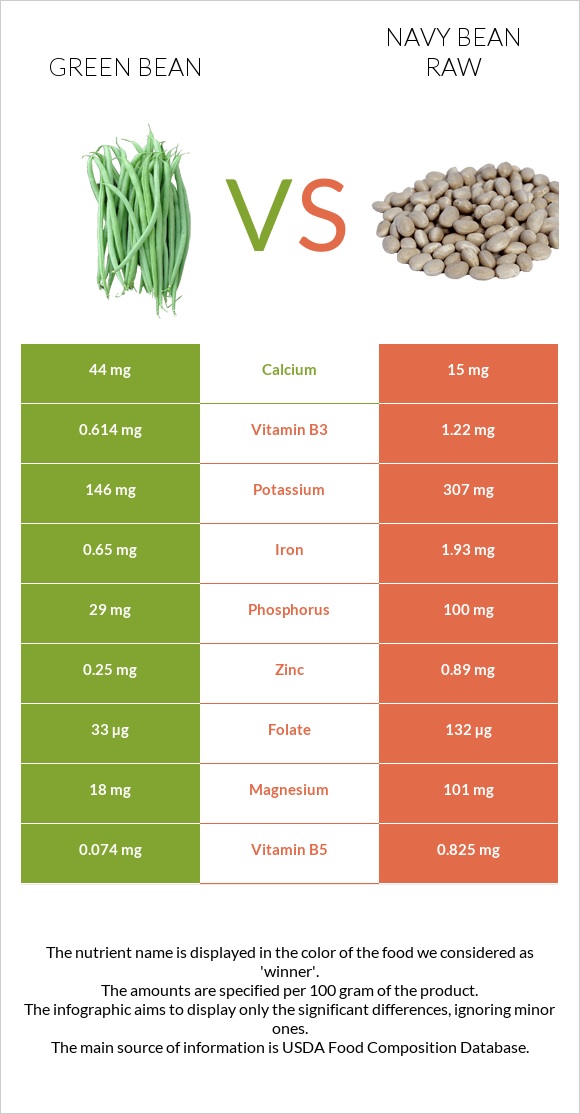 Green bean vs Navy bean raw infographic