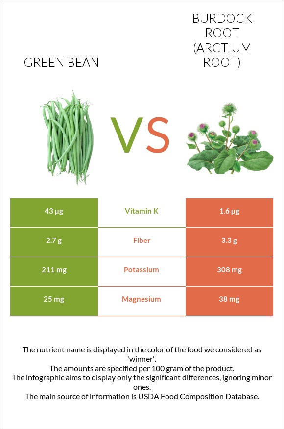 Green bean vs Burdock root infographic