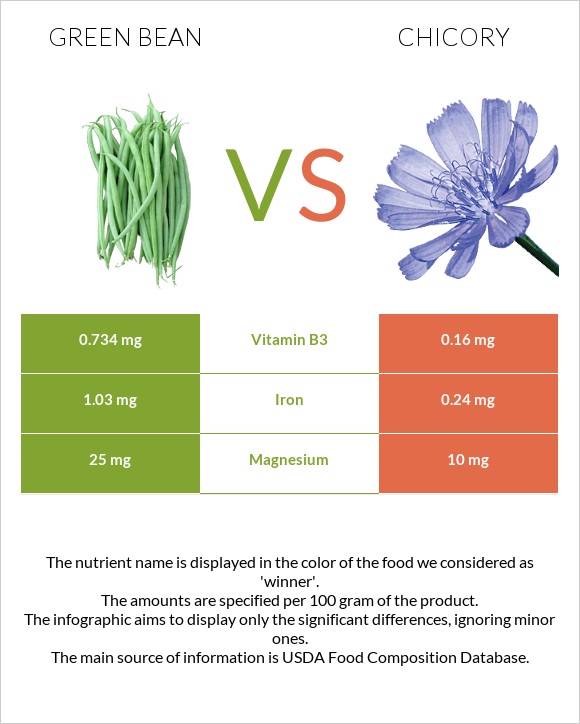 Green bean vs Chicory infographic