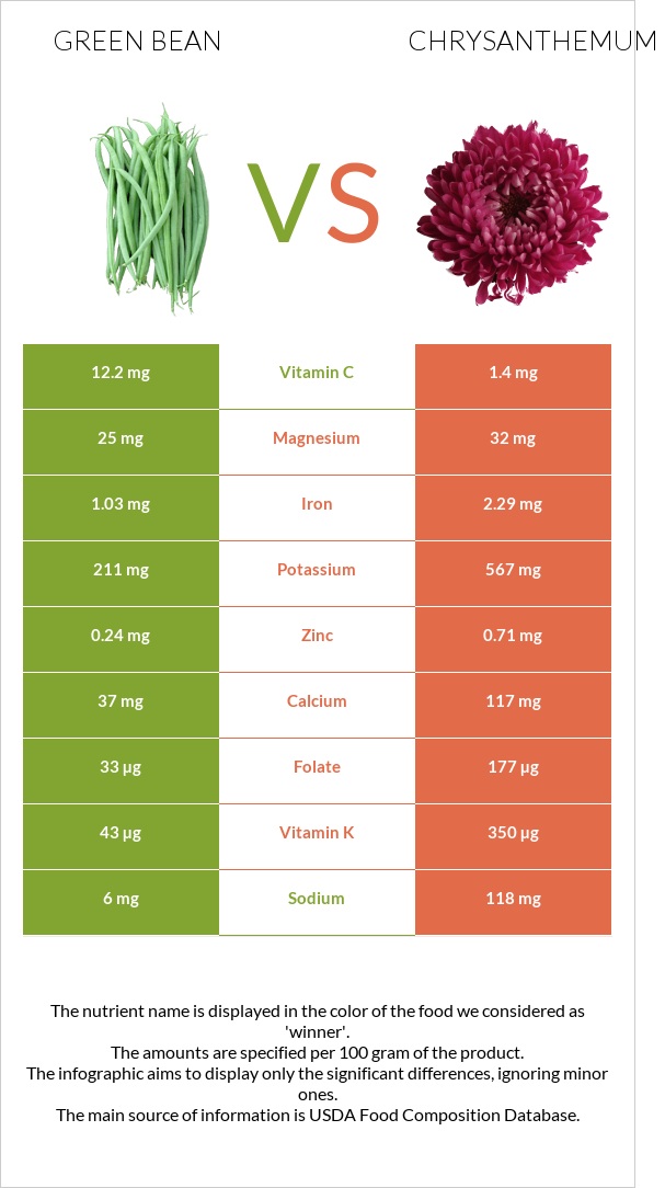 Green bean vs Chrysanthemum infographic