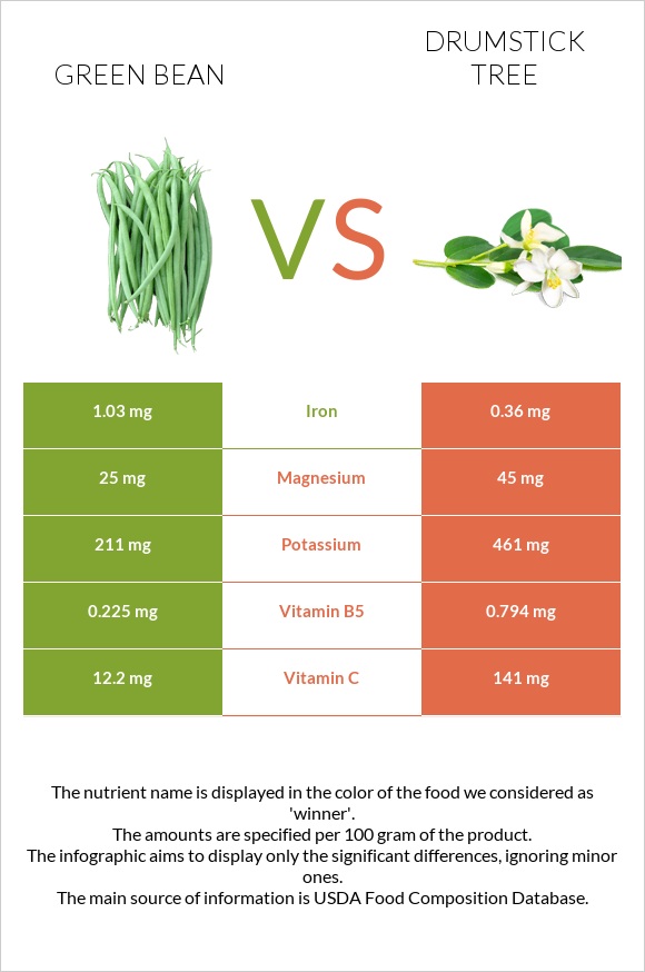 Green bean vs Drumstick tree infographic