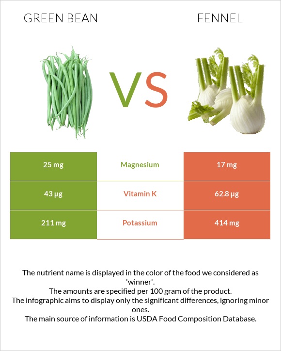 Green bean vs Fennel infographic