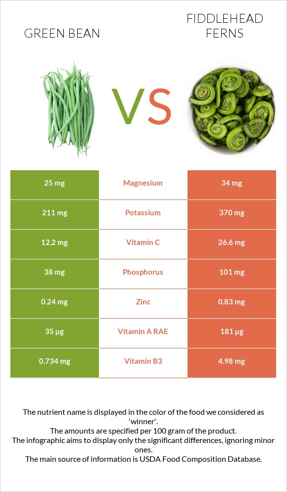 Green bean vs Fiddlehead ferns infographic