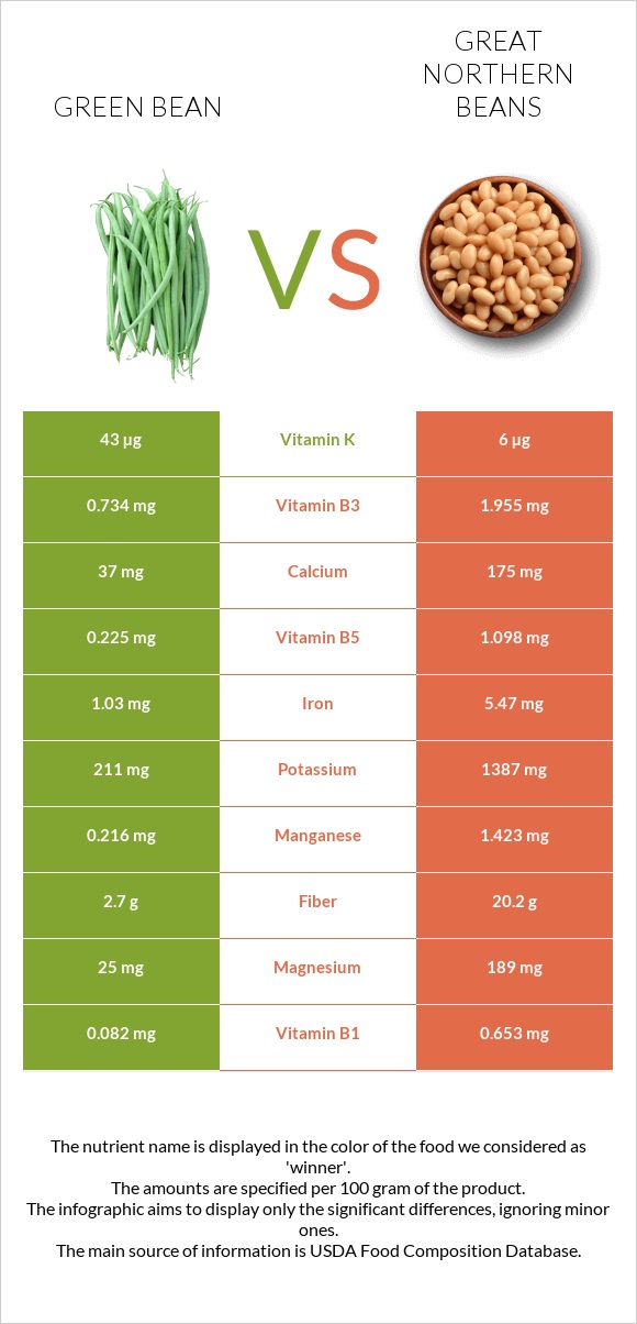 Green beans vs Great northern beans infographic