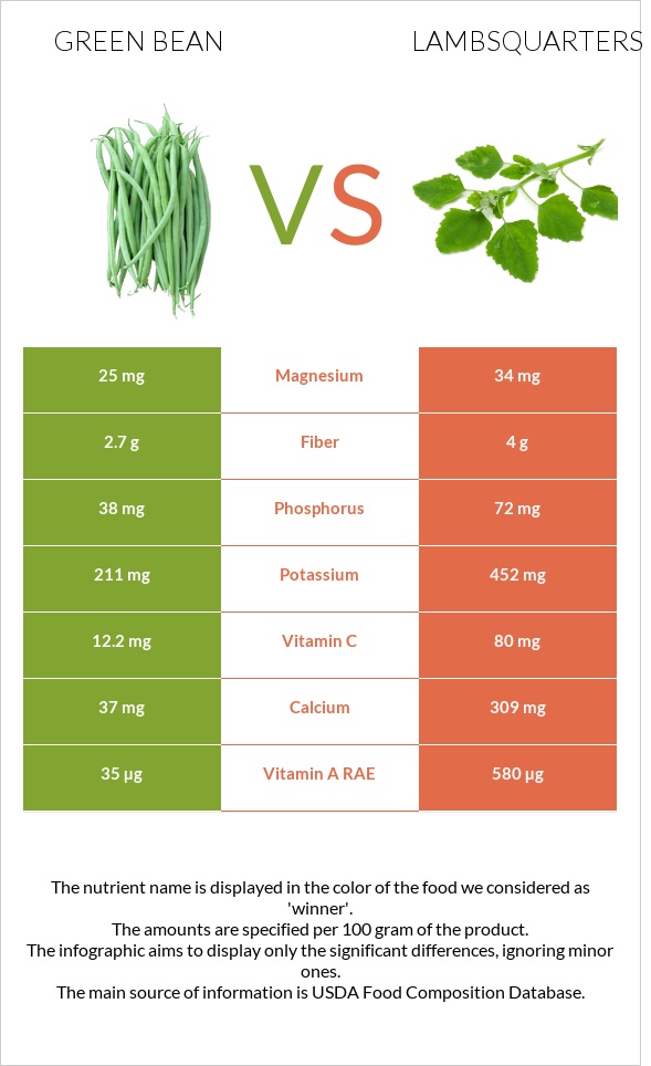 Green bean vs Lambsquarters infographic