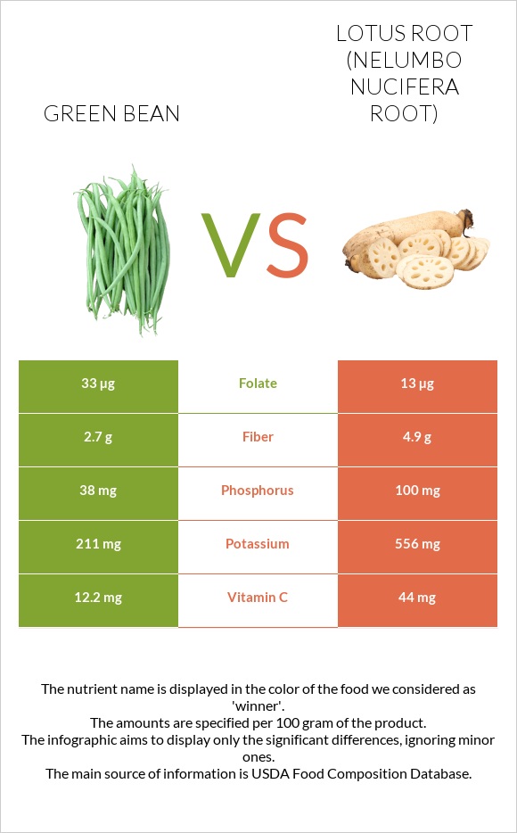 Green bean vs Lotus root infographic