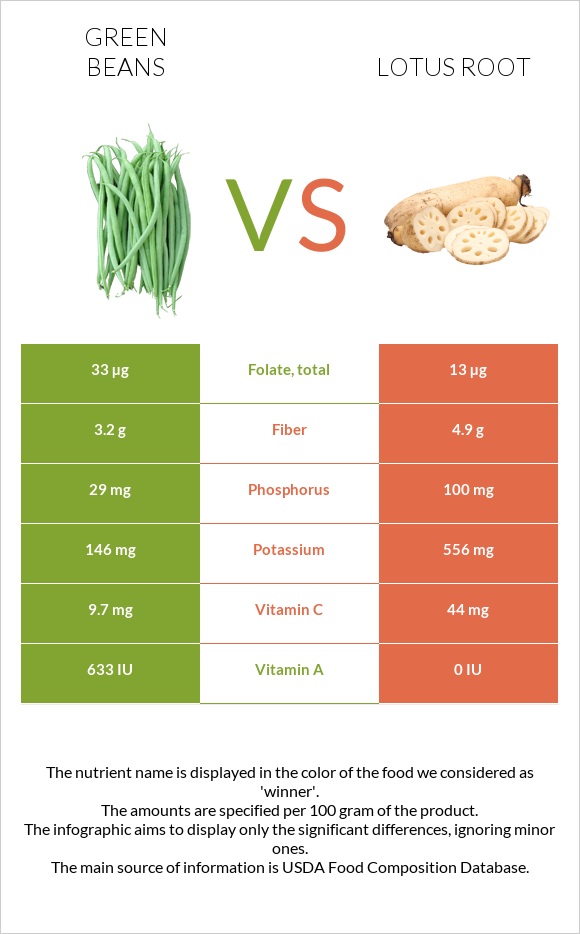 Կանաչ լոբի vs Լոտոս արմատ infographic