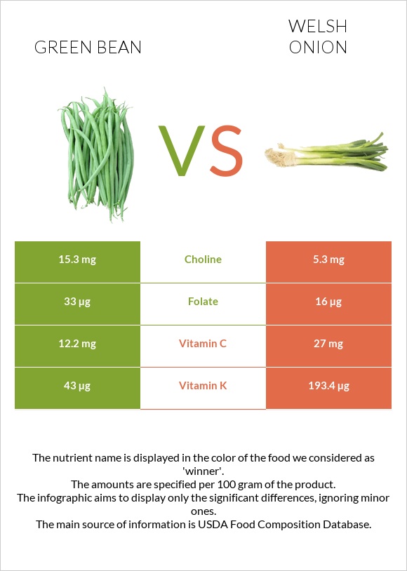 Green bean vs Welsh onion infographic