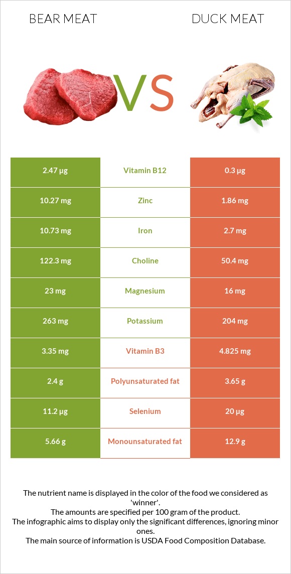 Bear meat vs Բադի միս infographic