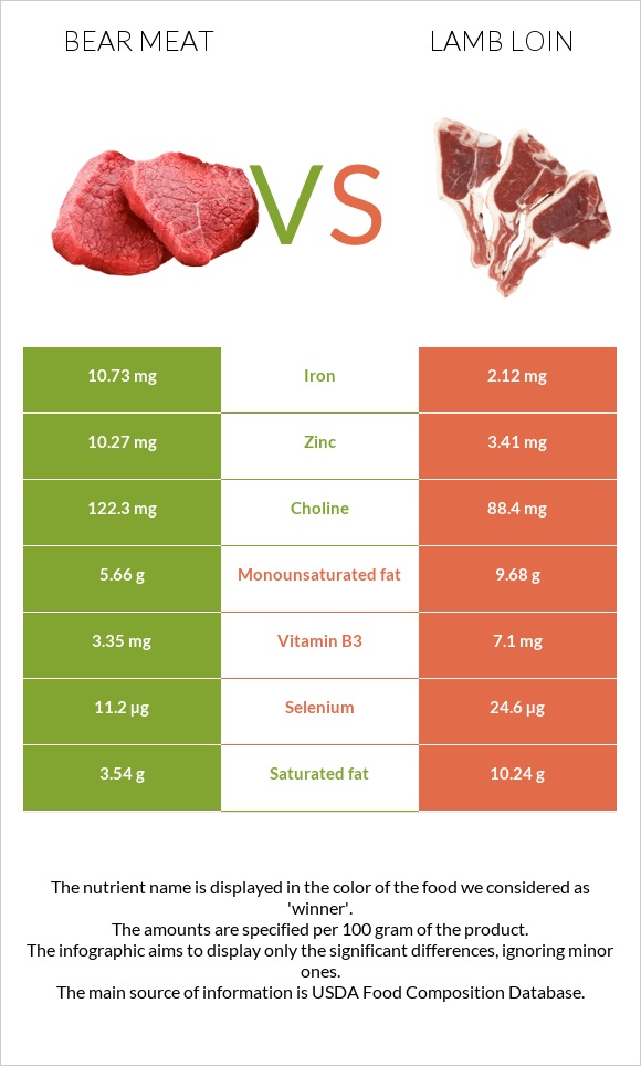 Bear meat vs Lamb loin infographic