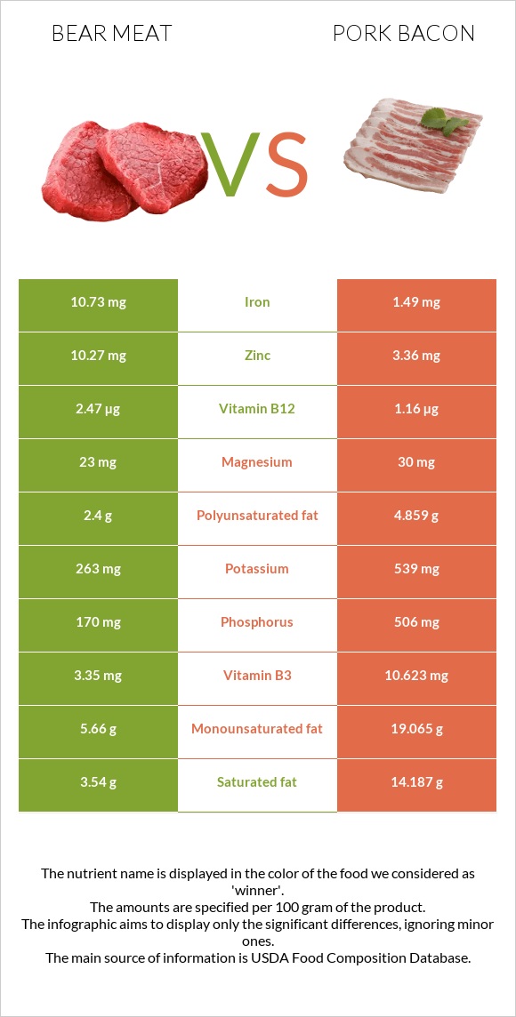 Bear meat vs Խոզի բեկոն infographic