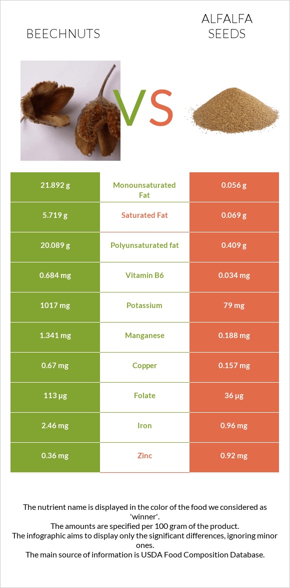 Beechnuts vs Alfalfa seeds infographic