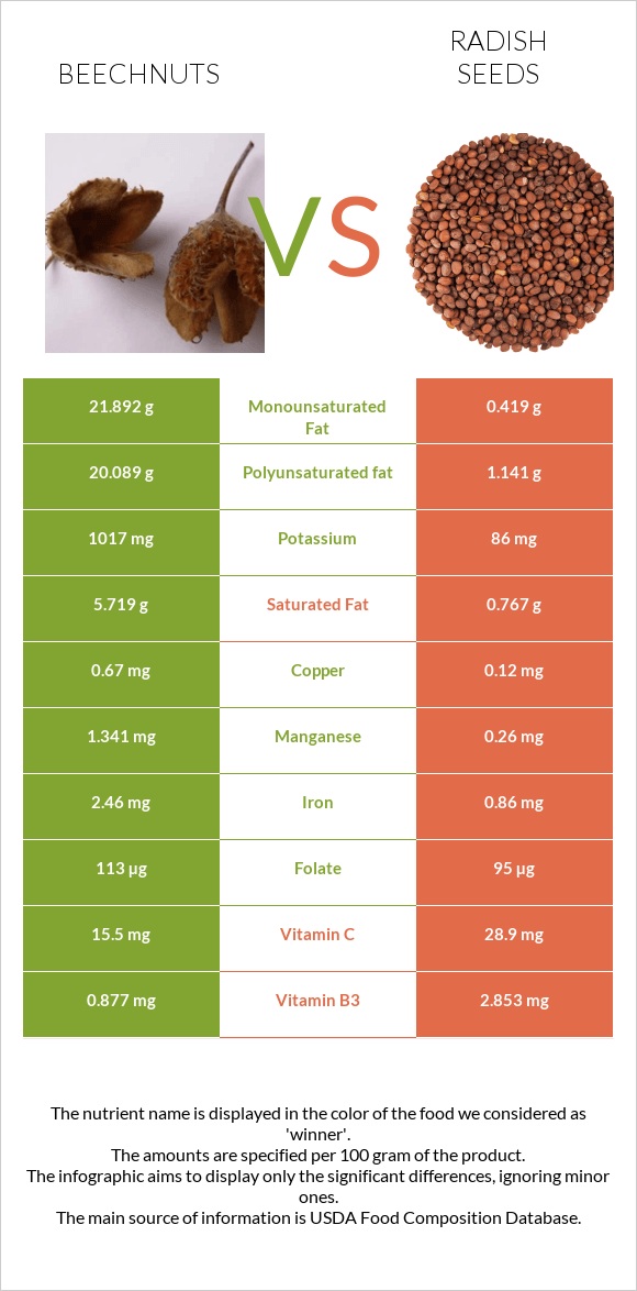 Beechnuts vs Radish seeds infographic