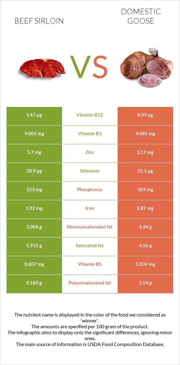 Beef sirloin vs Ընտանի սագ infographic