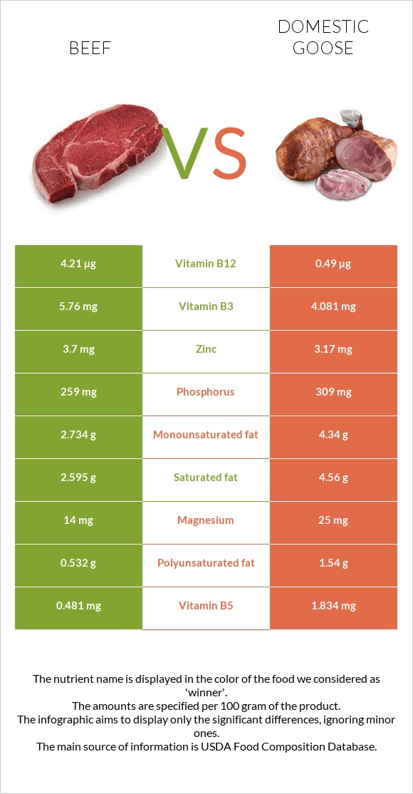 Beef vs Domestic goose infographic