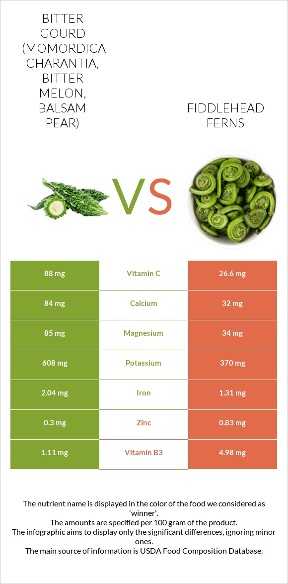 Bitter gourd (Momordica charantia, bitter melon, balsam pear) vs Fiddlehead ferns infographic