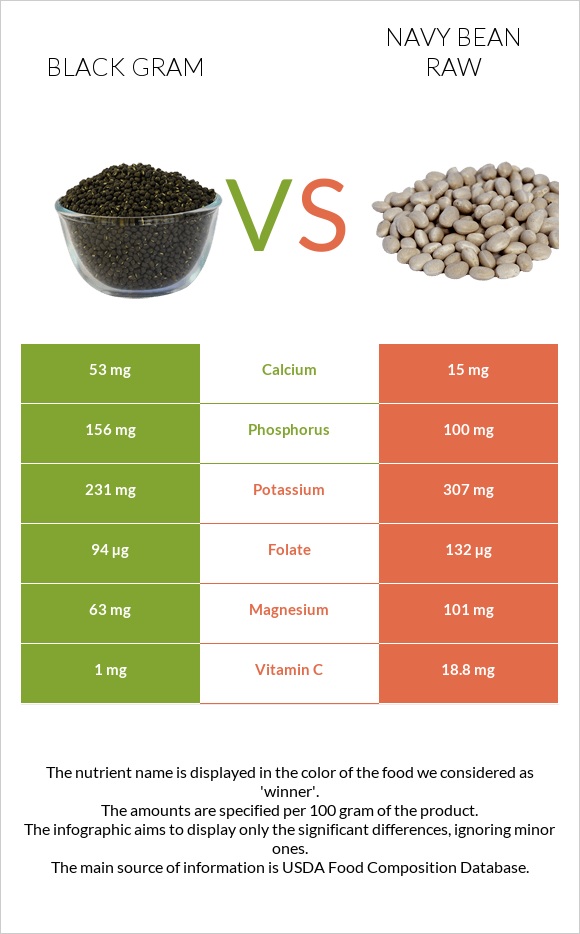 Black gram vs Navy bean raw infographic