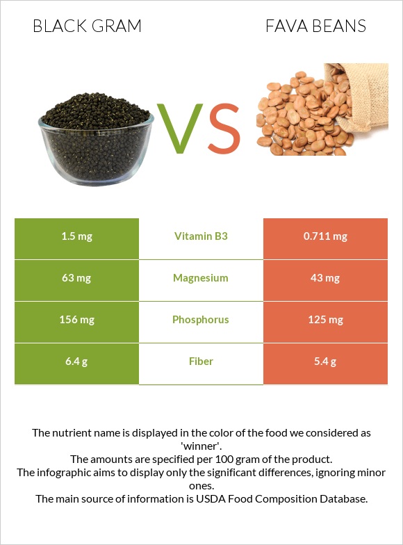 Black gram vs Fava beans infographic