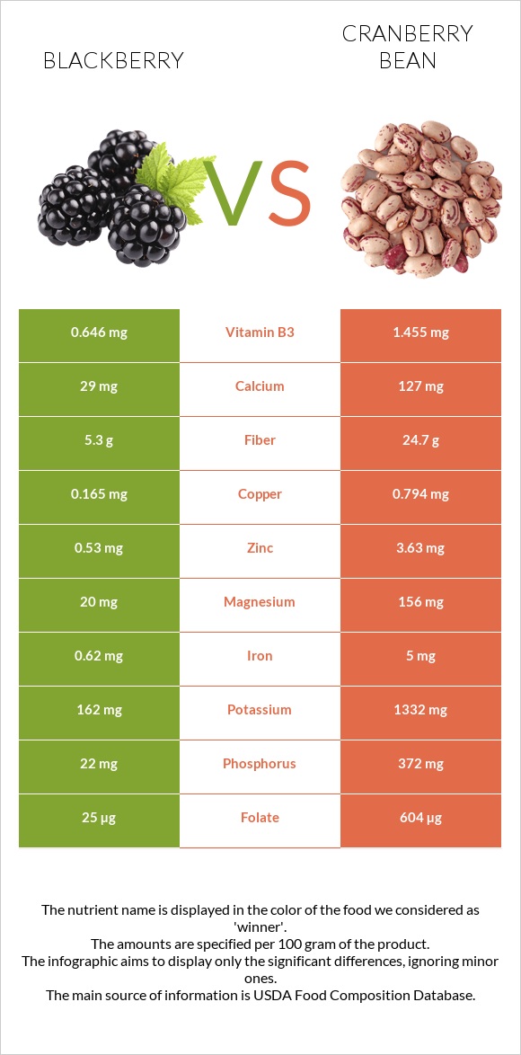 Blackberry vs Cranberry beans infographic