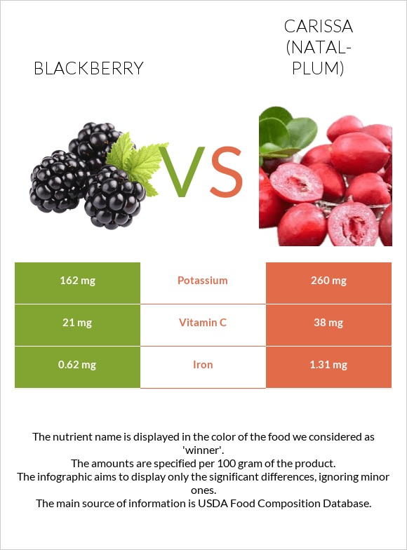 Blackberry vs Carissa (natal-plum) infographic