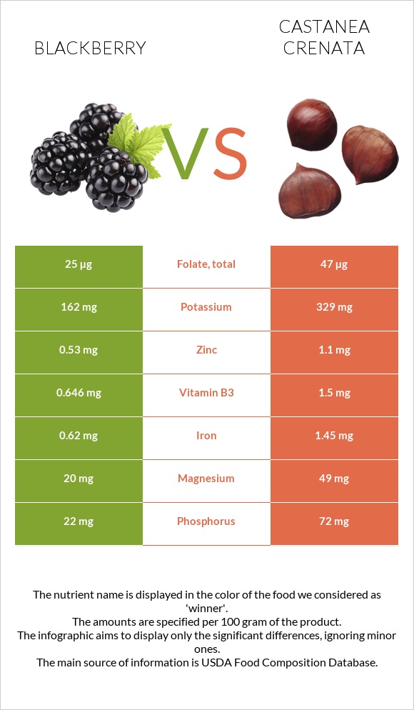 Blackberry vs Castanea crenata infographic