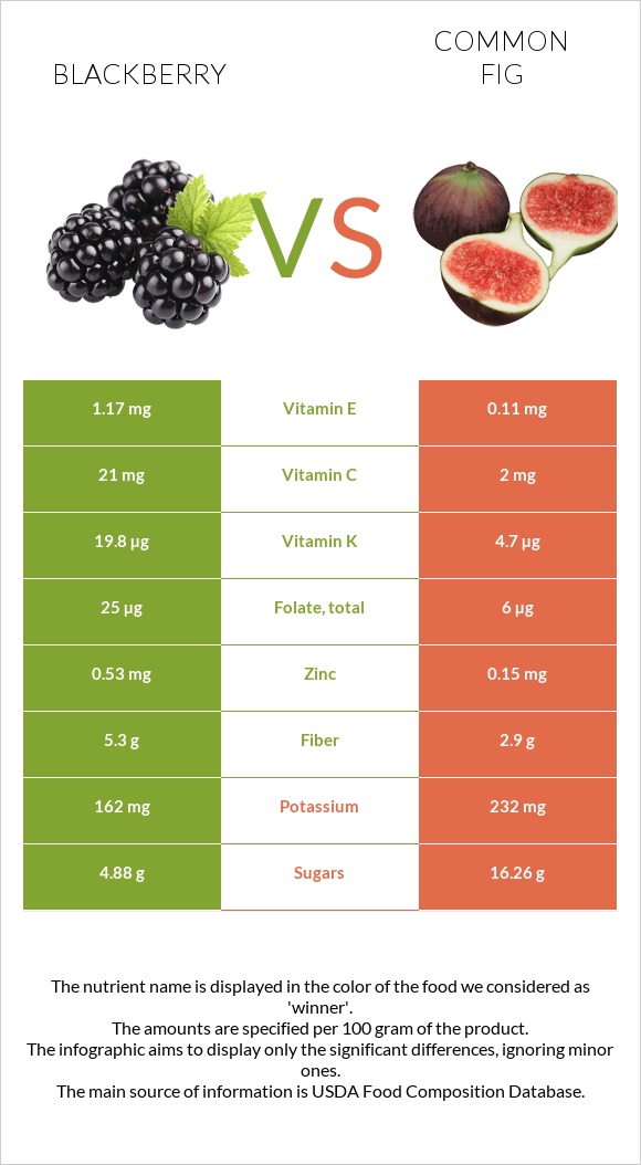 Blackberry vs Common fig infographic