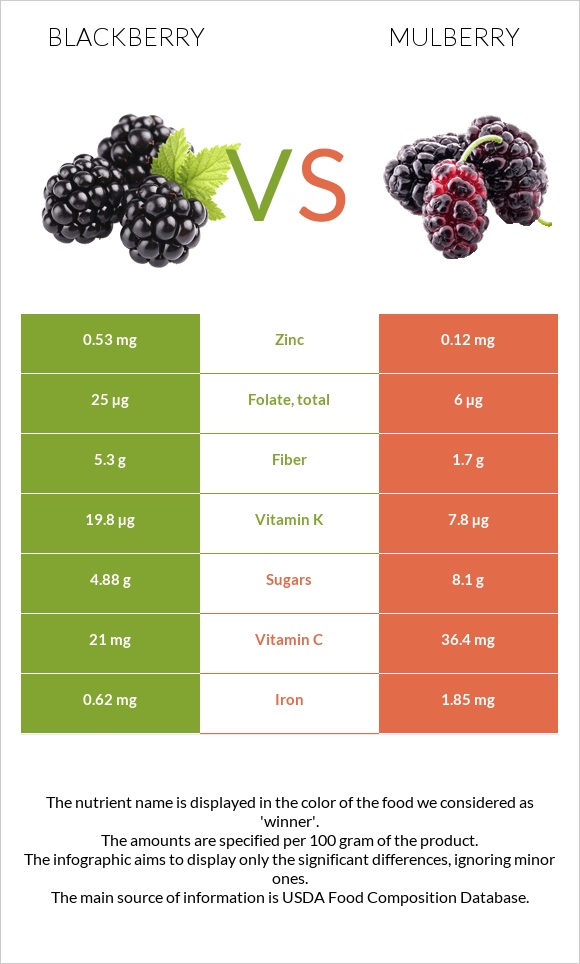 Blackberry vs Mulberry infographic