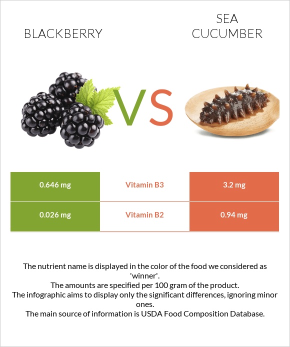 Blackberry vs Sea cucumber infographic