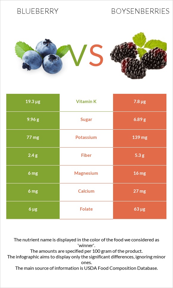 Blueberry vs Boysenberries infographic