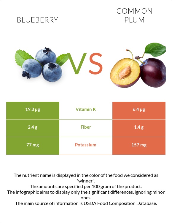 Blueberry vs Plum infographic