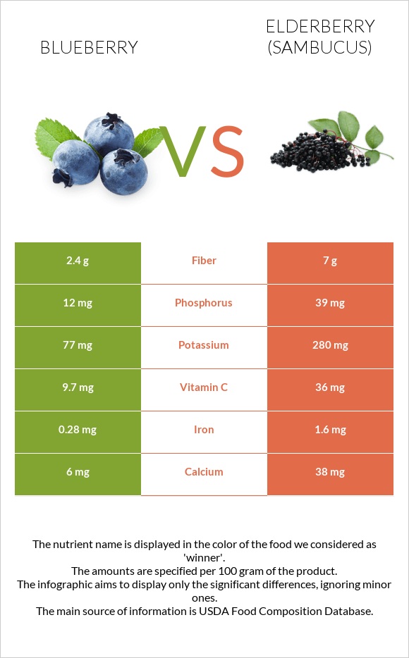 Blueberry vs Elderberry infographic