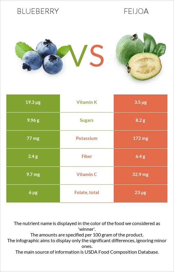 Blueberry vs Feijoa infographic