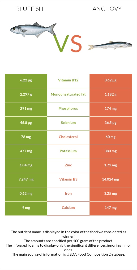 Bluefish vs Anchovy infographic