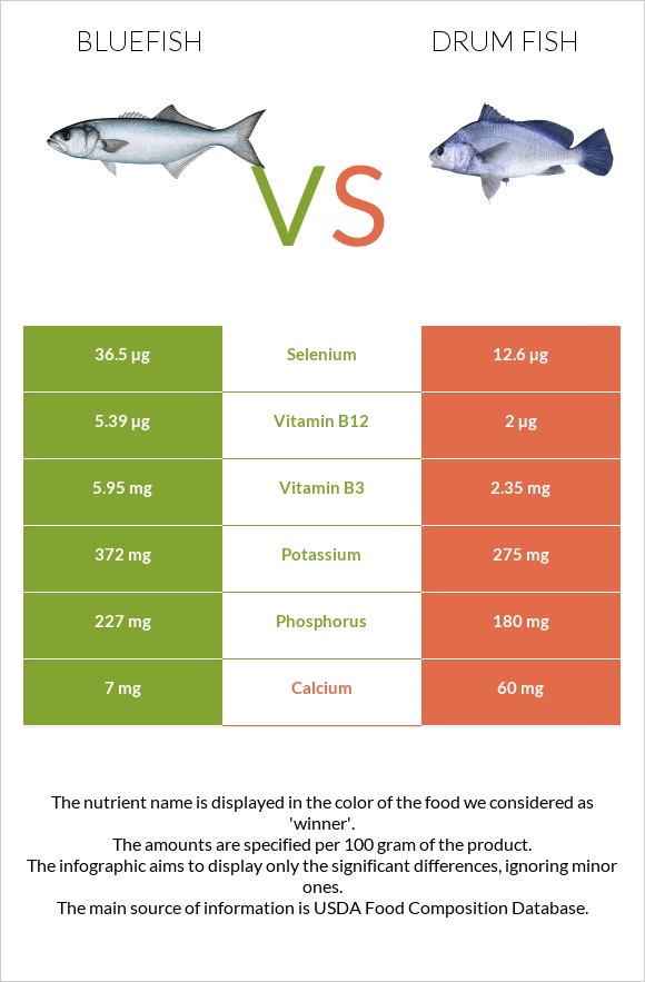 Bluefish vs Drum fish infographic