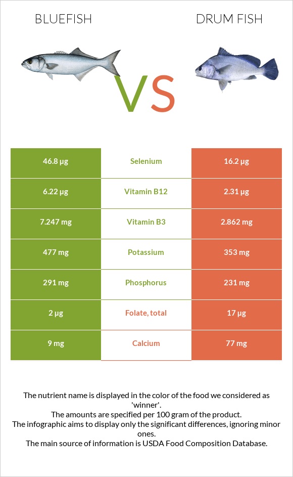 Bluefish vs Drum fish infographic