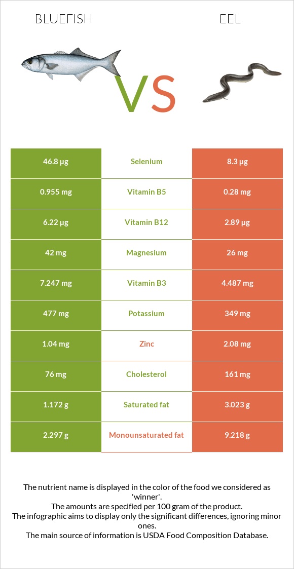 Bluefish vs Eel infographic