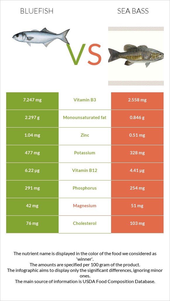 Bluefish vs Bass infographic