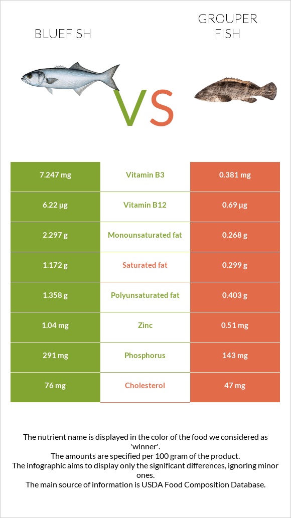 Bluefish vs Grouper fish infographic