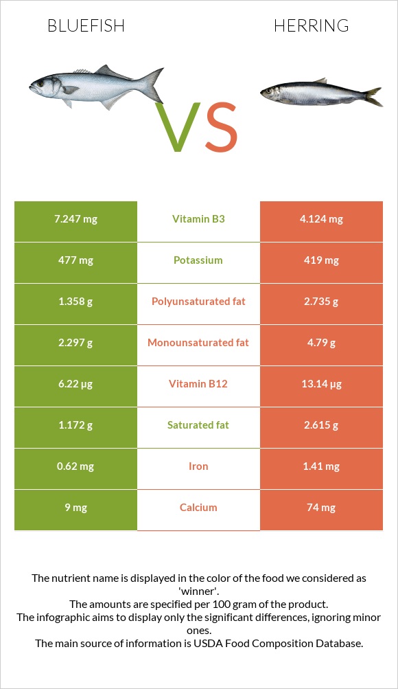 Bluefish vs Herring infographic