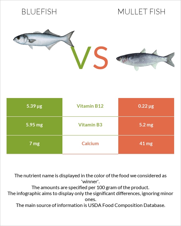 Bluefish vs Mullet fish infographic